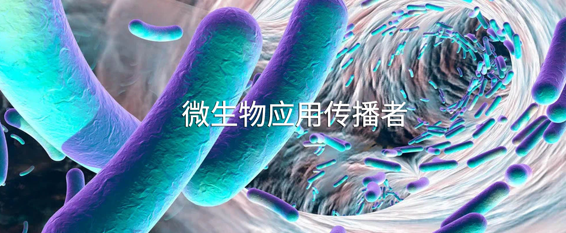通栏图片